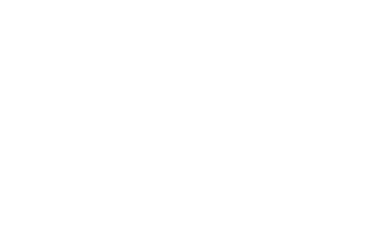 Vila Svetina